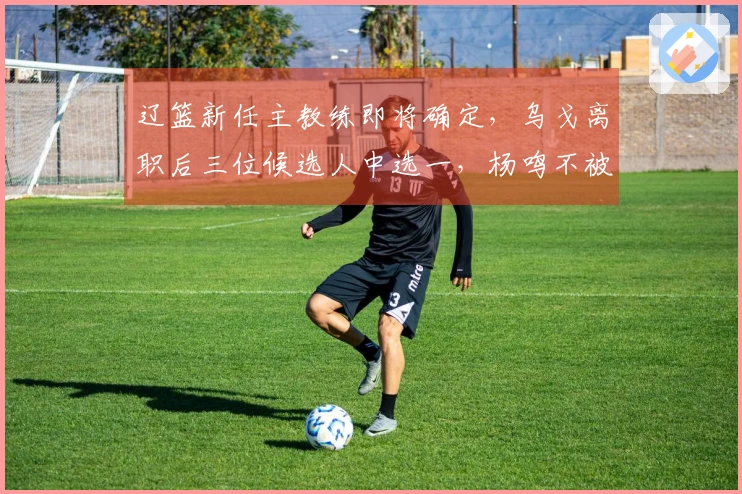 辽篮新任主教练即将确定，乌戈离职后三位候选人中选一，杨鸣不被看好