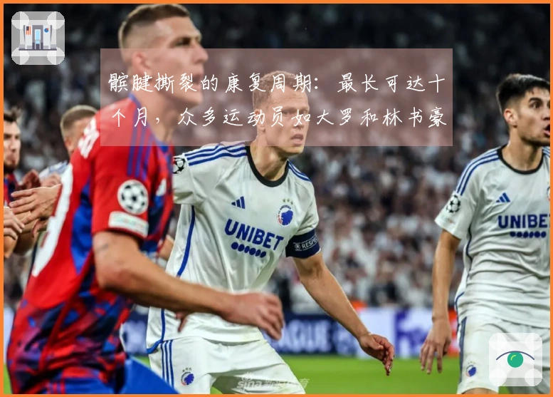 髌腱撕裂的康复周期：最长可达十个月，众多运动员如大罗和林书豪曾遭遇此伤病
