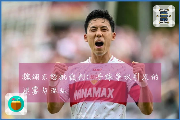 魏翊东怒批裁判：手球争议引发的迷雾与混乱